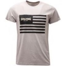 T-shirt Spalding  maglia  grey delave cotton s