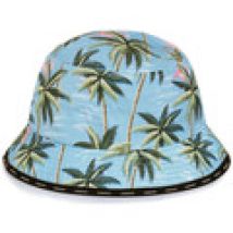 Cappelli Horspist  -