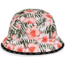 Cappelli Horspist  -