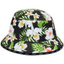 Cappelli Horspist  -