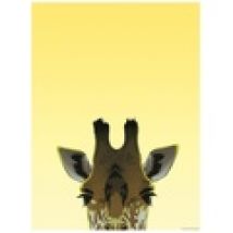 Poster Inquisitive Creatures  GR917