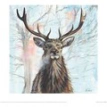 Poster Julia Pankhurst  40 cm x 40 cm PM4206