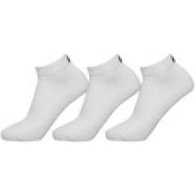 Calzini Exceptio  RD1963