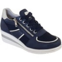 Sneakers Cipriata  Graziosa