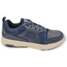 Sneakers TBS  narvaez