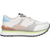 Scarpe Gioseppo  67716 GREISCH