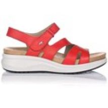 Sandali con zeppa Fluchos  SCARPE  F1478