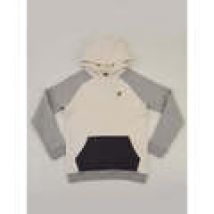 Felpe con cappuccio Lyle & Scott  -