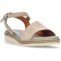 Sandali Dorking  d8771 taupe