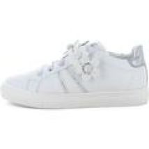 Sneakers Asso  62903