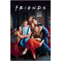 Poster Friends  PM7933