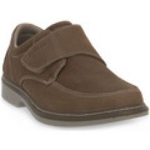 Sneakers Enval  BARRET TAUPE