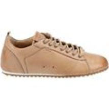 Sneakers basse Lloyd  Sneakers