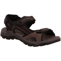 Wandelschoenen Rohde -