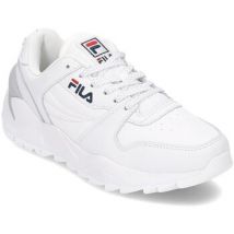 Lage Sneakers Fila 10106211FG
