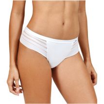 Tanga's Lisca Braziliaanse Alegra