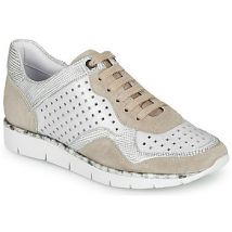 Lage Sneakers Regard JARD V4 CROSTA P STONE