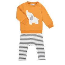 Setjes Noukie's Z051372