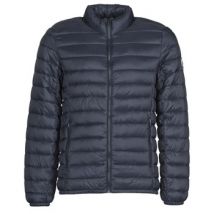 Donsjas Teddy Smith BLIGHT