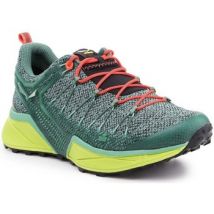 Wandelschoenen Salewa WS Dropline