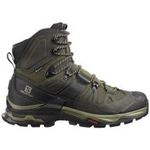 Wandelschoenen Salomon Quest 4D 4 Gtx