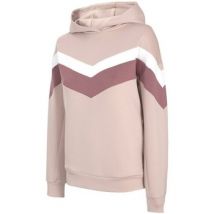 Capuchon sweaters 4F H4L21 BLD020