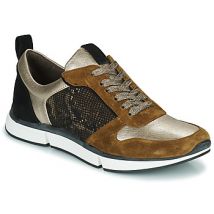 Adige  Lage Sneakers VANILLE2 V3 GALAXY ONYX
