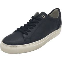 Sneakers Sioux -