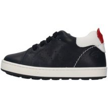 Balducci  Lage Sneakers CITA5105C