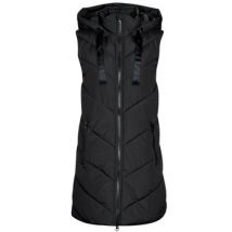 Donsjas JDY JDYSKYLAR PADDED HOOD WAISTCOAT OTW