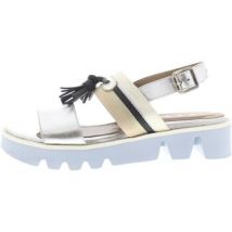 Sandalen met sleehak Roberto D Angelo 5729 Silver