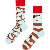 Socks Many Mornings Sokken Teckel