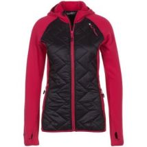 Fleece Jack Peak Mountain Blouson polarshell femme ACERLA