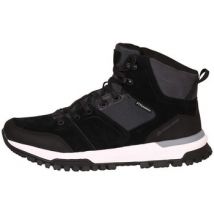 Laarzen Alpine Pro Malen