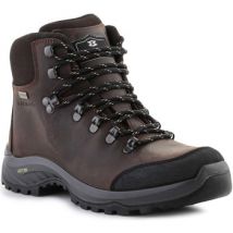 Laarzen Garmont Syncro Light Plus GTX - brown 002490