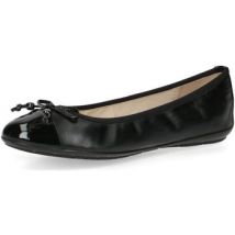 Ballerina's Caprice -