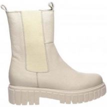 Enkellaarzen Salamander -