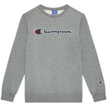 Sweater Champion -