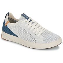 Saola  Lage Sneakers CANNON KNIT 2.1