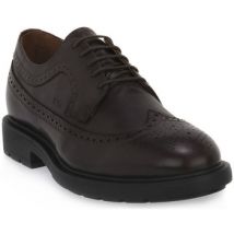 Sportschoenen NeroGiardini NERO GIARDINI 301 KENIA CAFFE