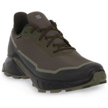 Salomon  Lage Sneakers Alphacross 5 Gtx