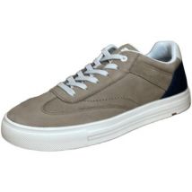 Sneakers Lloyd -