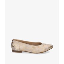 Ballerina's Kennebec 623
