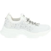 Steve Madden  Lage Sneakers Sneaker