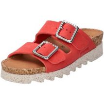 Klompen Nature Is Future -