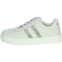 Balducci  Lage Sneakers BUTT1840