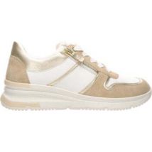 Ara  Lage Sneakers -