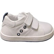 Sneakers Balducci cita