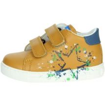 Falcotto  Hoge Sneakers 0012017618.01.1G39