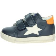 Falcotto  Hoge Sneakers 0012015350.10.2C11